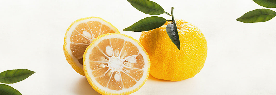 Le Yuzu, c'est quoi ?