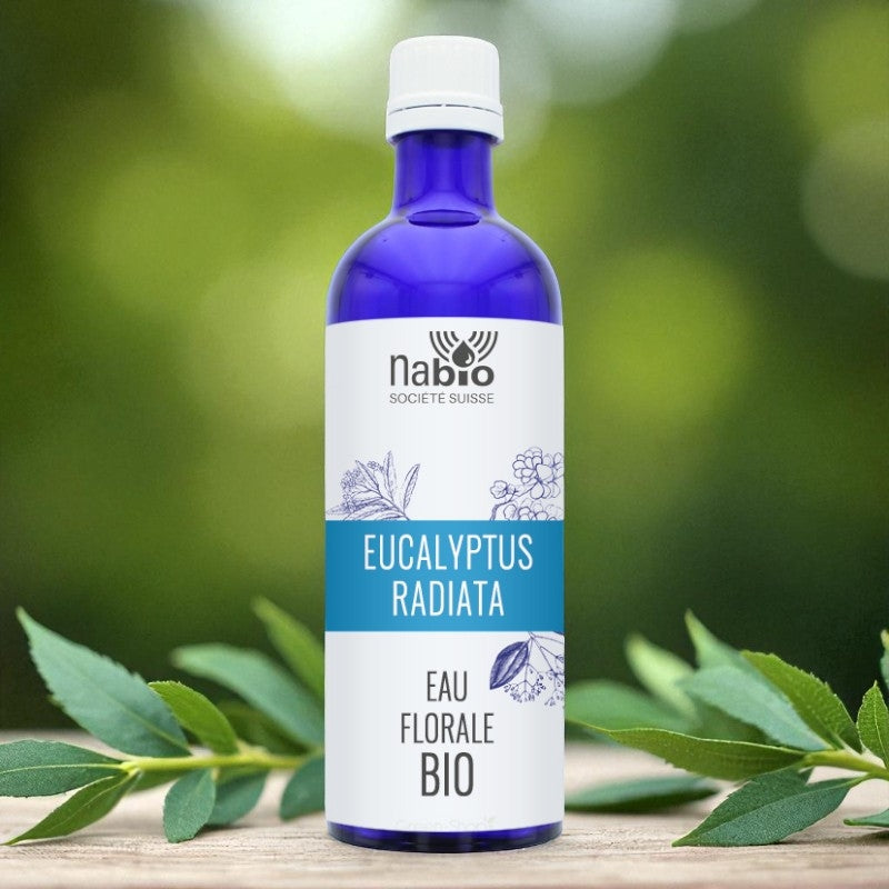 Bio-Eukalyptusblütenwasser (Eucalyptus radiata) – 200 ml – Nabio