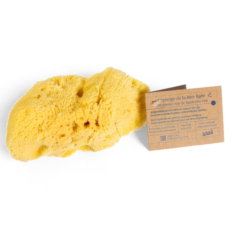 Anaé - Mittelgroßer Naturschwamm