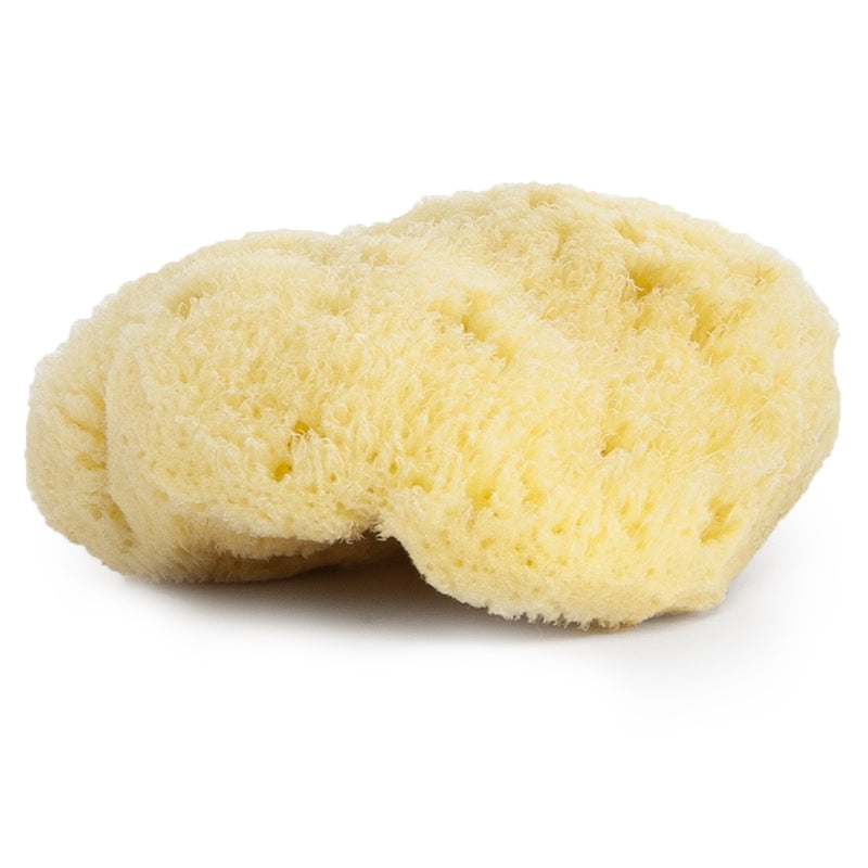 Najel - Éponge naturelle - souple et soyeuse 1 pièce