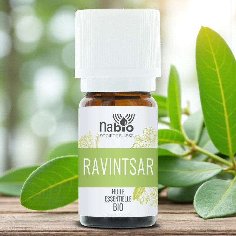 Huile essentielle BIO Ravintsara