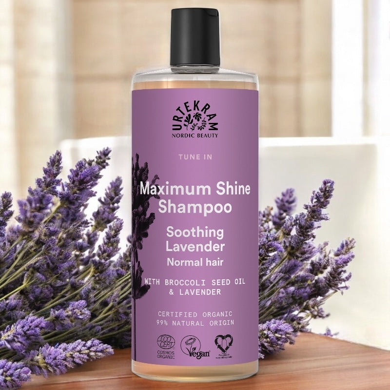 Shampoo Glanz mit Lavendel BIO