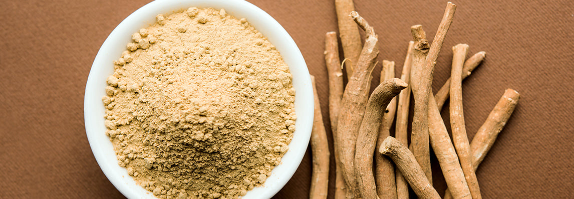 Qu'est-ce que l'ashwagandha bio (ginseng indien) ?