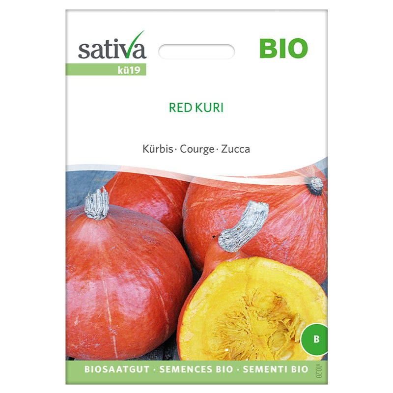 Bio-Kürbiskerne der Marke Red Kuri