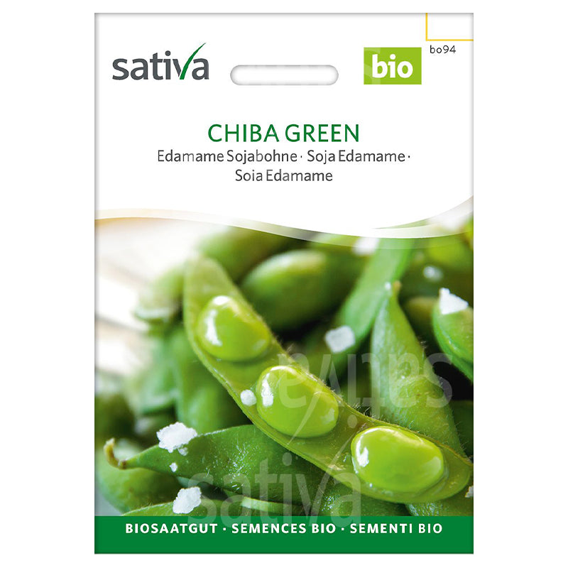 Chiba Green Bio-Edamame-Sojabohnensamen