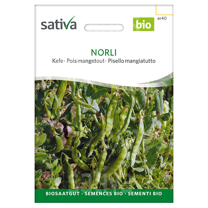 Norli-Samen, Bio-Zuckererbsen