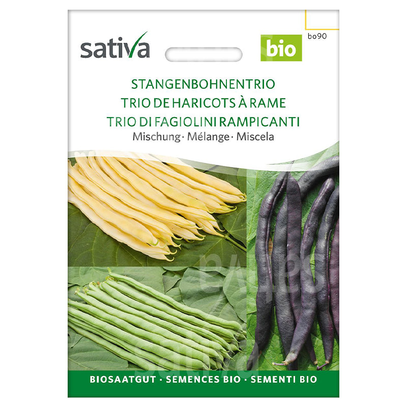 Bio-Trio von Kletterbohnensamen