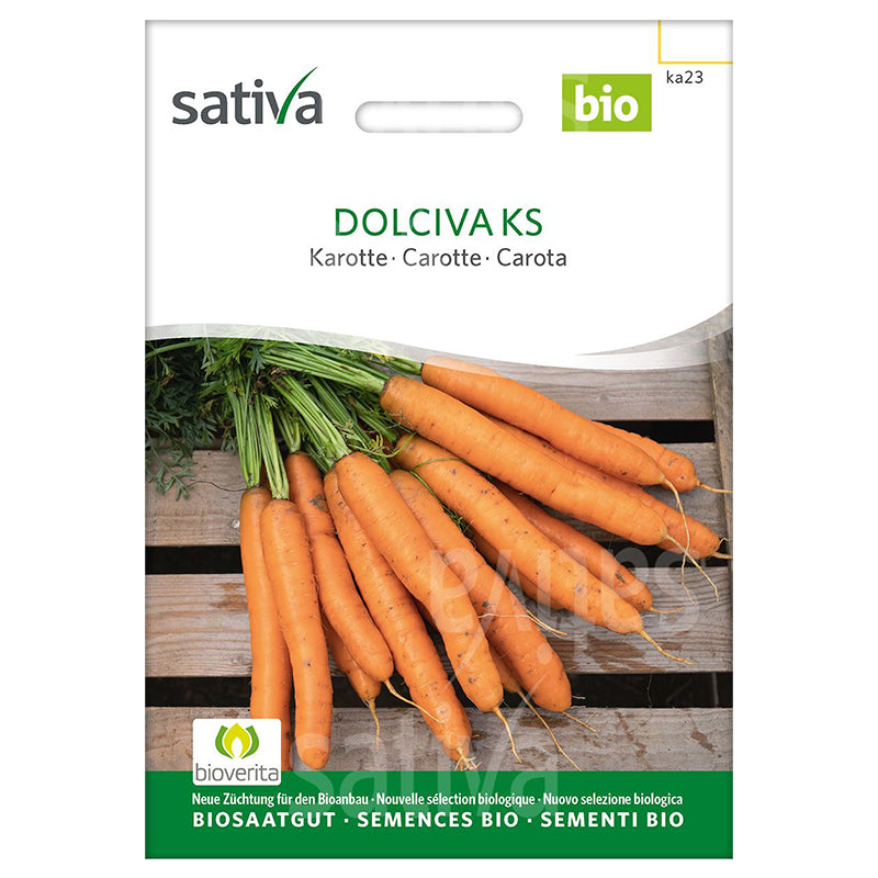 Dolciva KS Bio-Karottensamen