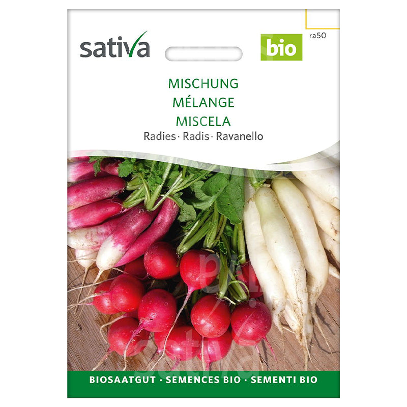 Bio-Radieschensamenmischung