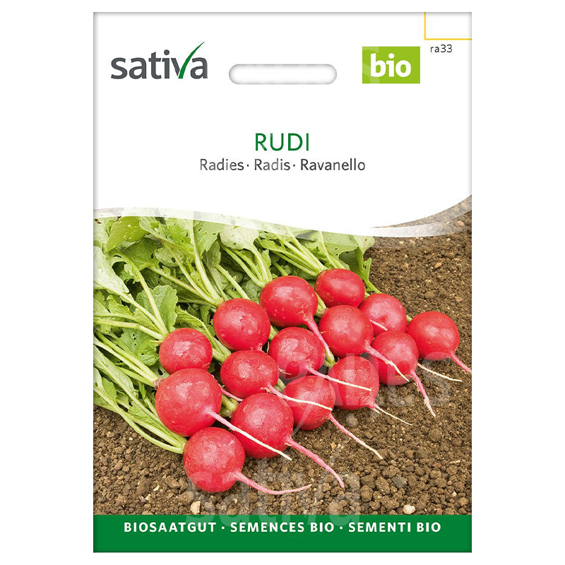 Bio-Radieschensamen