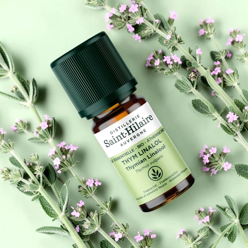 Ätherisches Öl Linalool-Thymian BIO