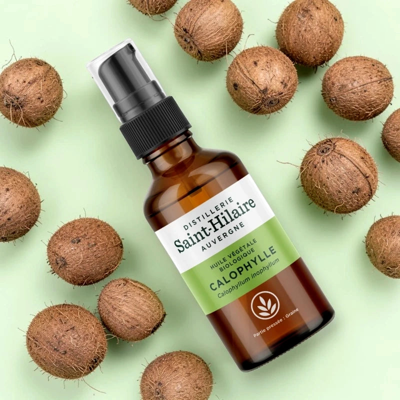 Huile de calophylle BIO