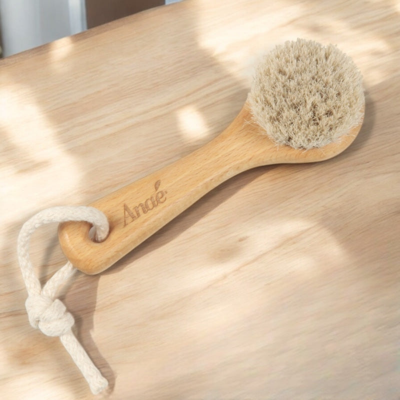Anaé - Brosse visage