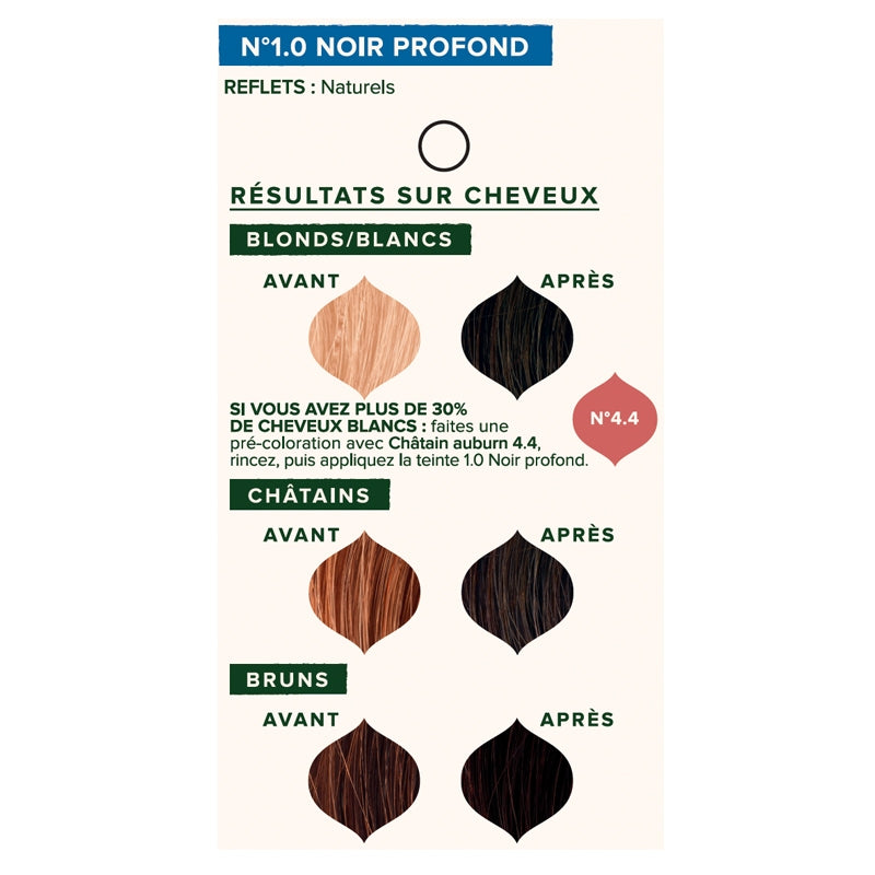 Emblica - Coloration végétale BIO N°1.0 noir profond 100g