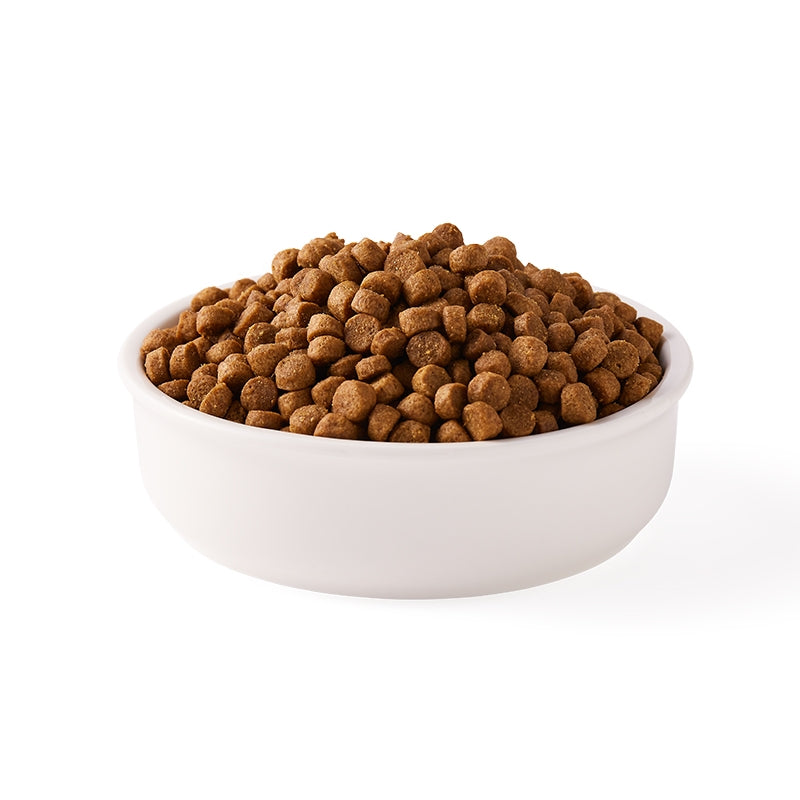 Croquettes poulet & céréales pour chien de petites races BIO