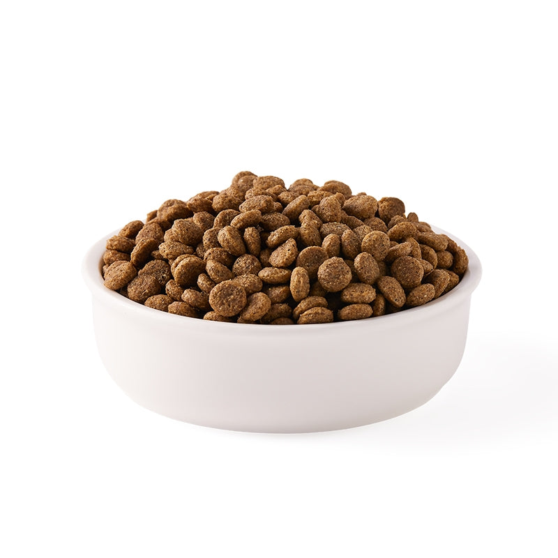 Croquettes poulet & poisson sans blé pour chat BIO - 800g