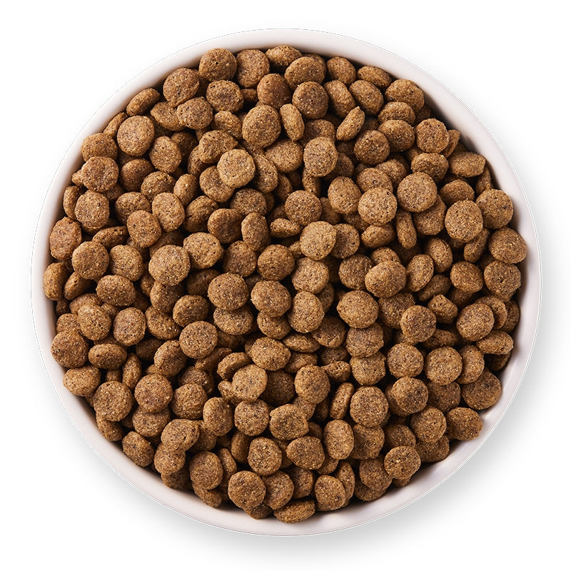 Croquettes poulet & poisson sans blé pour chat BIO - 800g