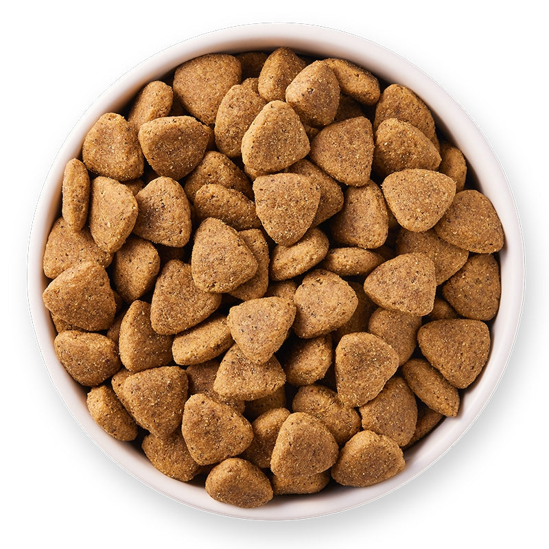 Croquettes végétariennes sans blé pour chien BIO