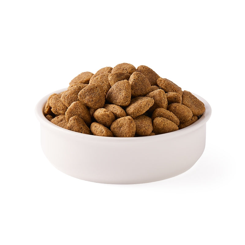Croquettes végétariennes sans blé pour chien BIO