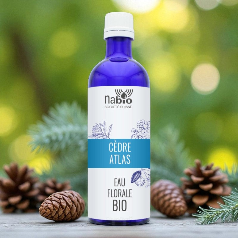 Bio-Blütenwasser aus Atlaszeder – 200 ml – Nabio