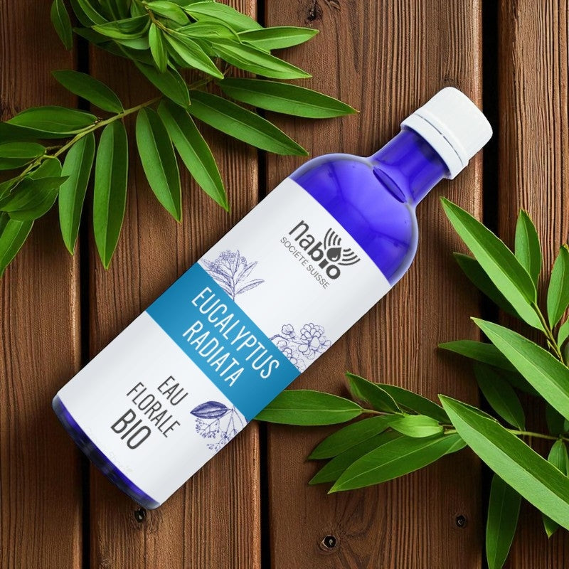 Eau florale BIO Eucalyptus radiata