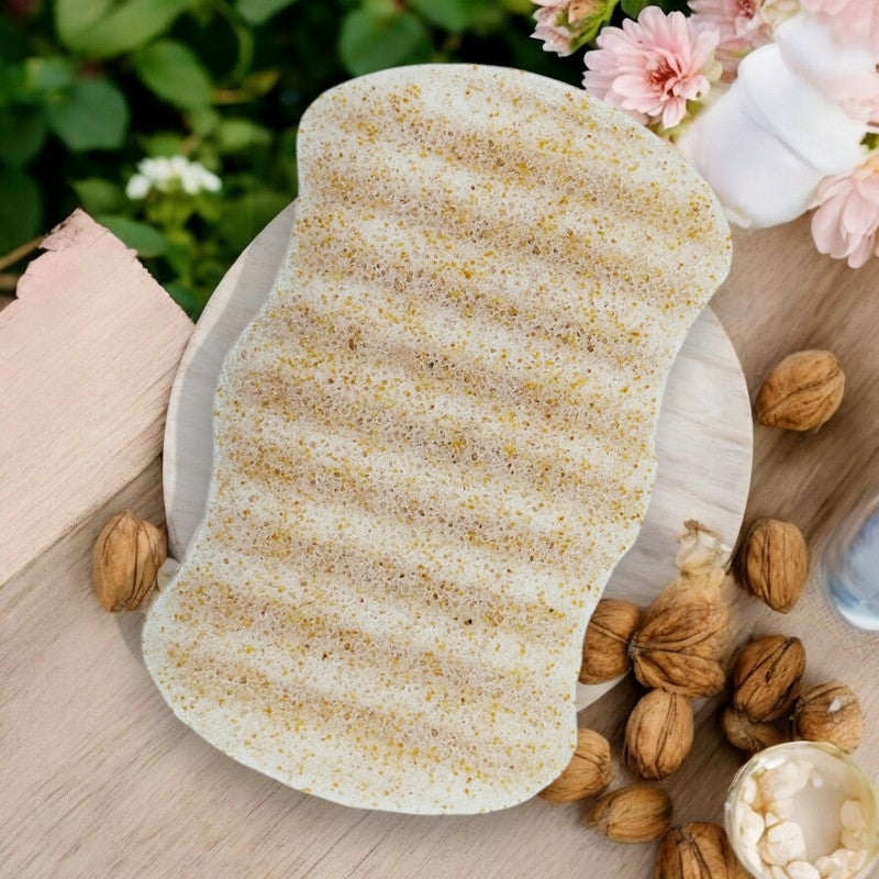 Éponge Konjac corps coques de noix
