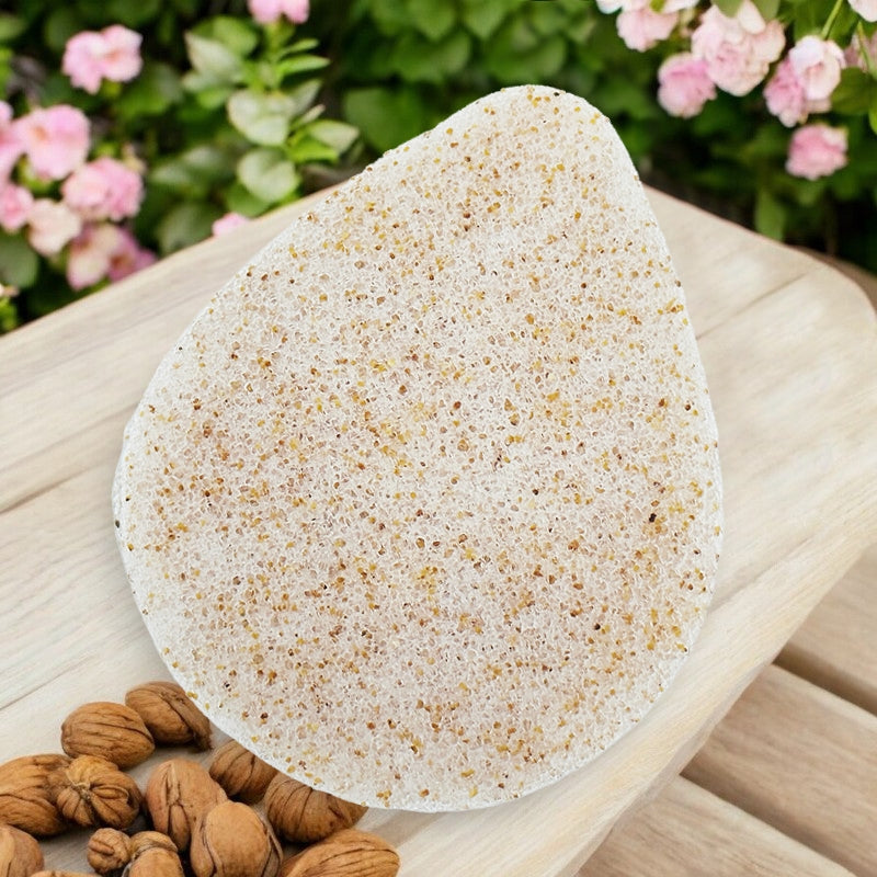 Éponge Konjac visage coques de noix