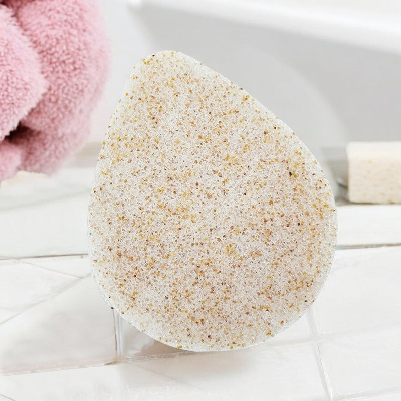 Éponge Konjac visage coques de noix