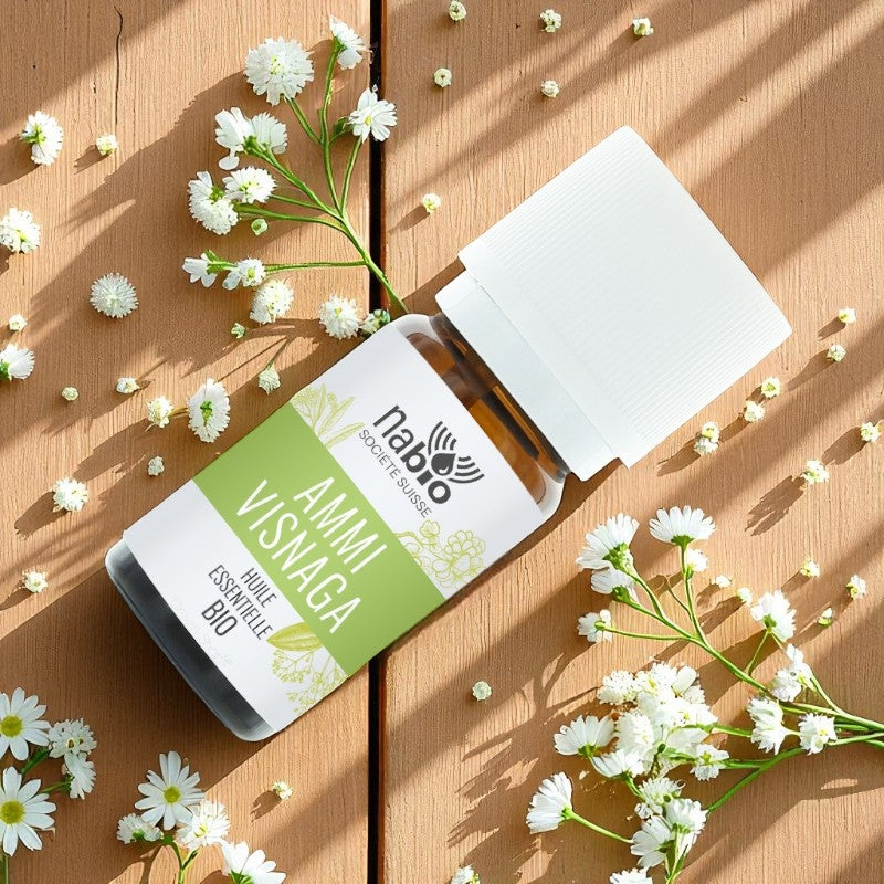 Huile essentielle BIO Ammi Visnaga ou Khella
