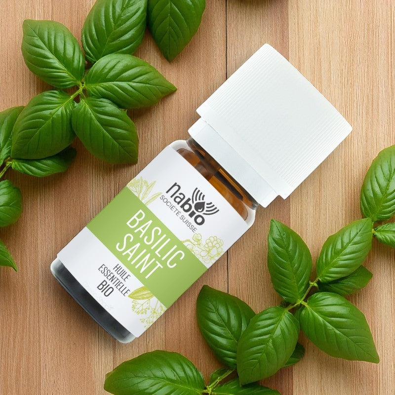 Huile essentielle BIO Basilic saint
