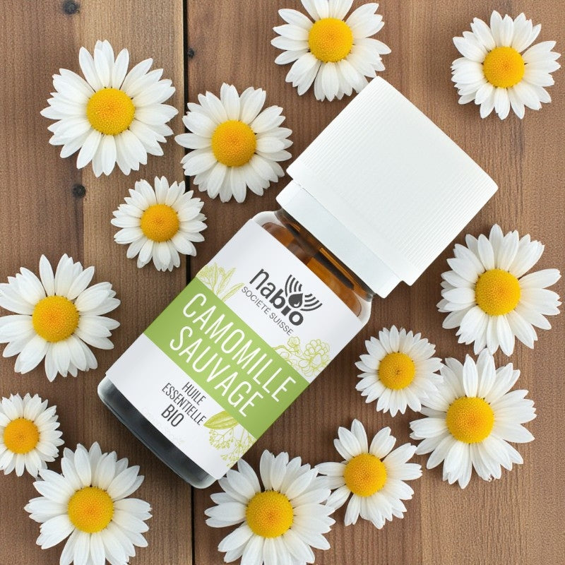 Huile essentielle BIO Camomille sauvage