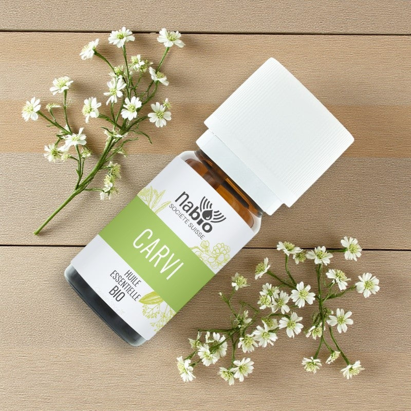 Huile essentielle BIO Carvi