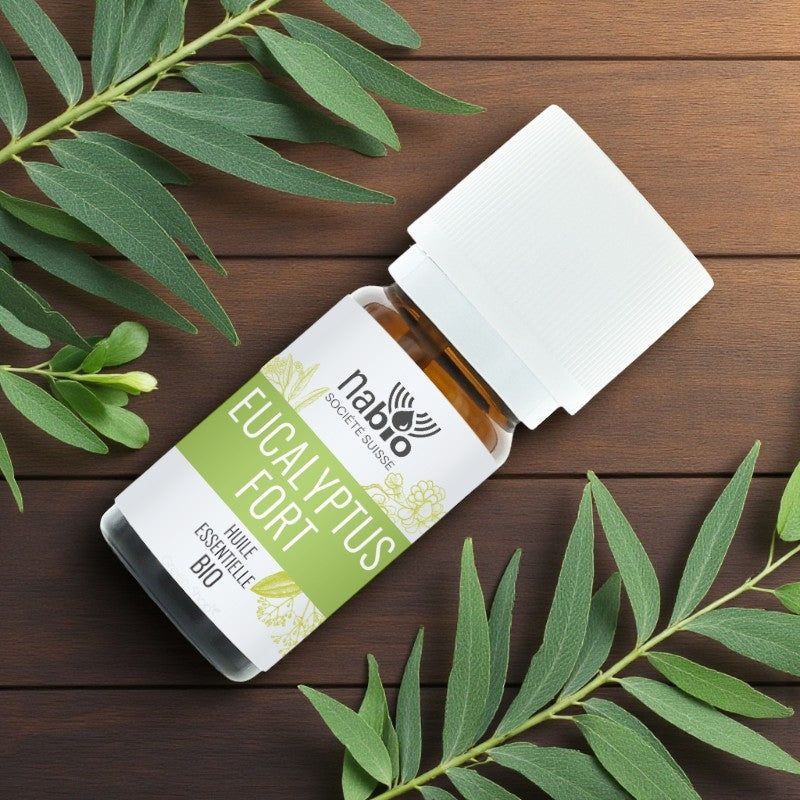 Huile essentielle BIO Eucalyptus fort