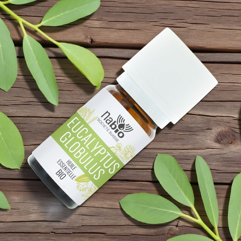 Ätherisches Bio-Eukalyptusöl (Eucalyptus globulus) – 10 ml – Nabio