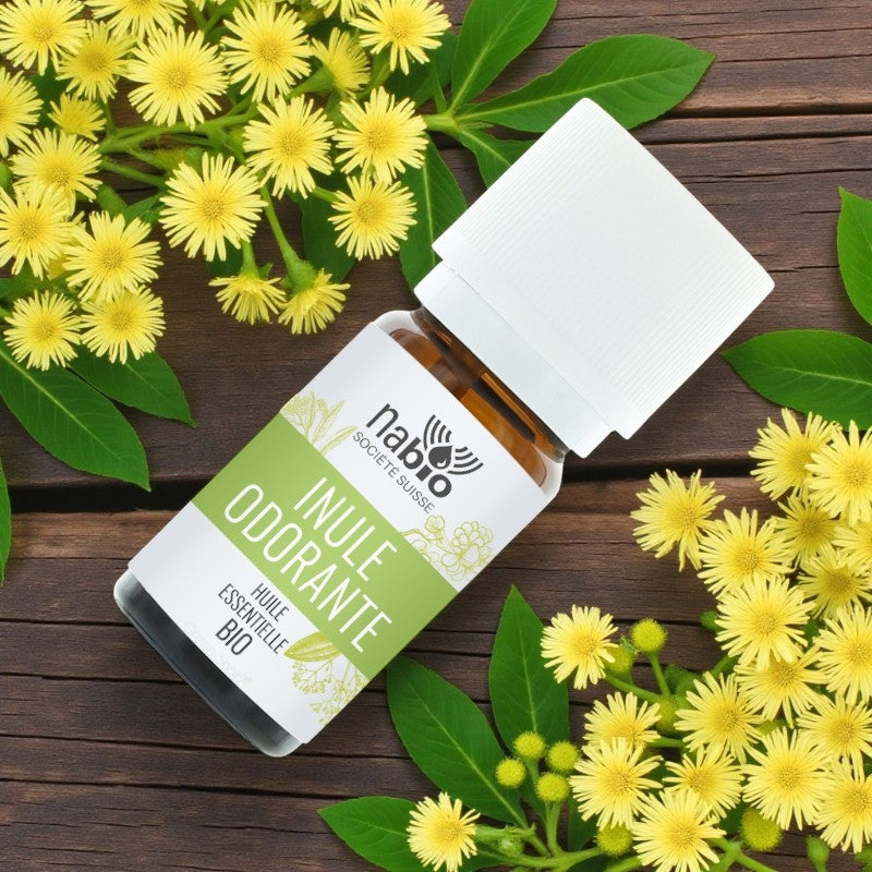Huile essentielle BIO Inule odorante