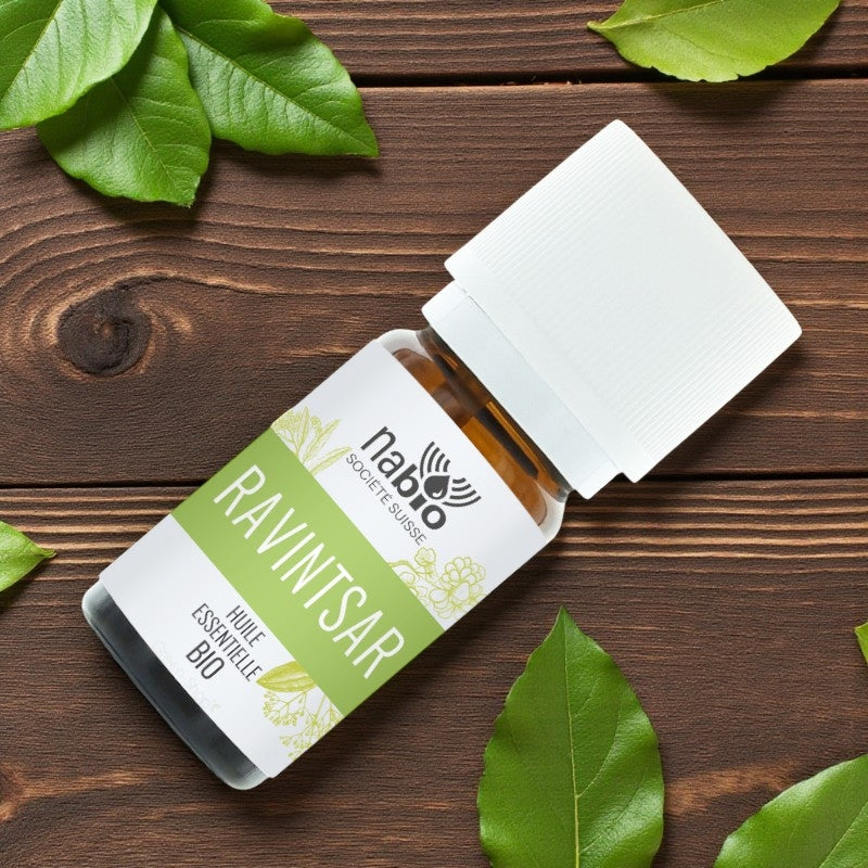 Huile essentielle BIO Ravintsara