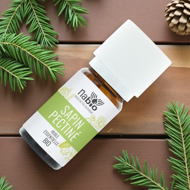 Ätherisches Bio-Silbertannenöl – 10 ml – Nabio
