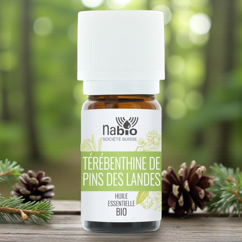 Ätherisches Bio-Terpentinöl aus Seekiefern – 15 ml – Nabio