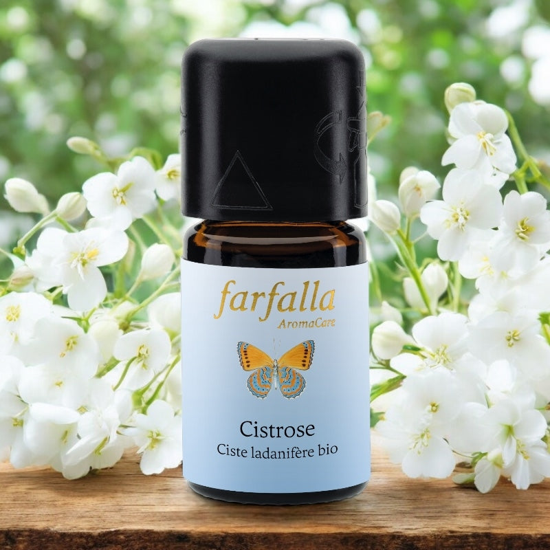 Farfalla - Ätherisches Öl Zistrose BIO 5ml
