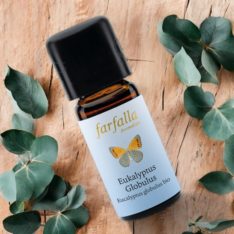 Farfalla - Huile essentielle Eucalyptus globulus BIO 10ml