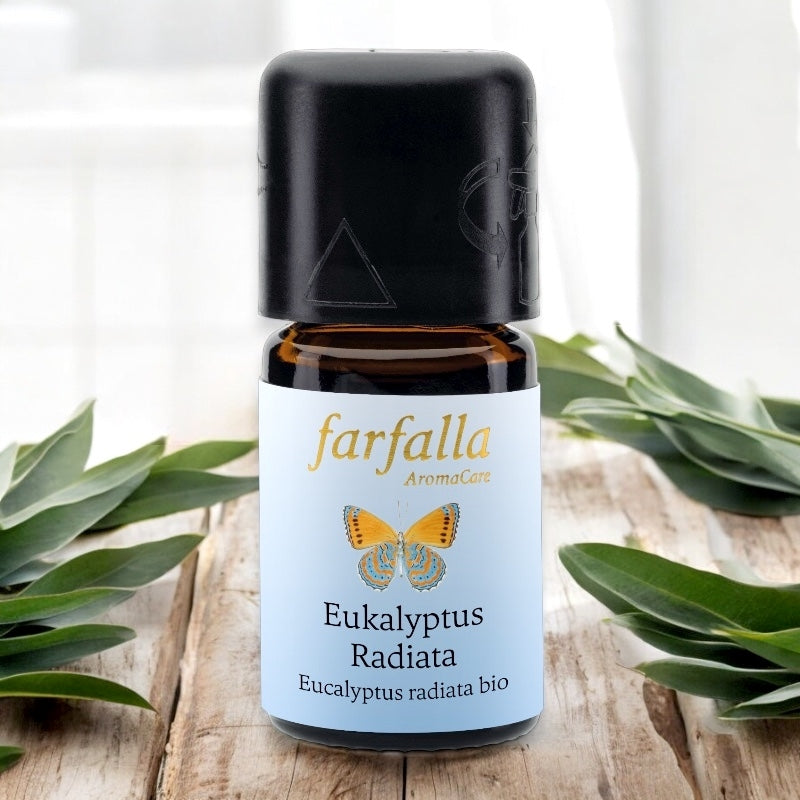 Farfalla - Ätherisches Öl Eukalyptus radiata BIO 5ml