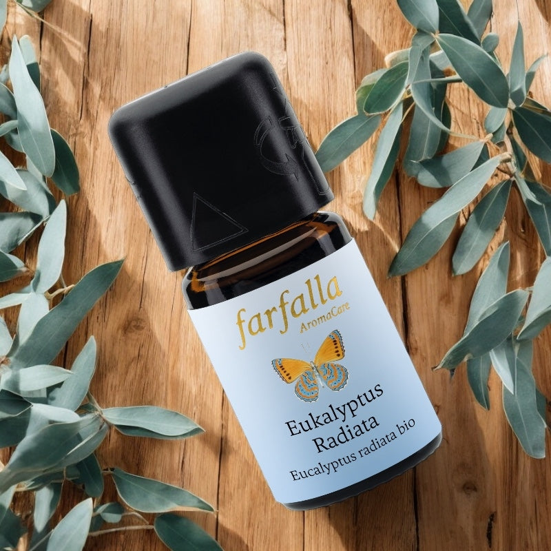 Farfalla - Ätherisches Öl Eukalyptus radiata BIO 5ml
