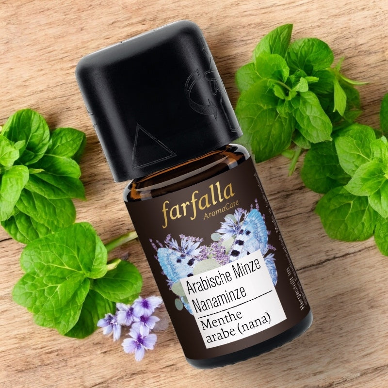 Farfalla - Huile essentielle Menthe arabe BIO 5ml