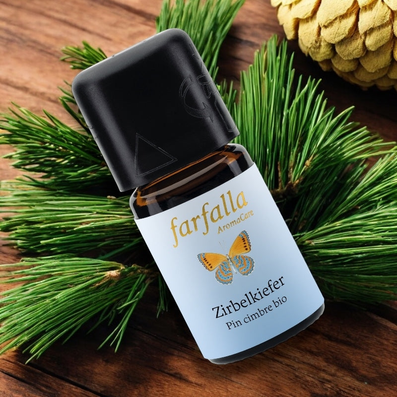 Farfalla - Huile essentielle Pin cimbre BIO 5ml