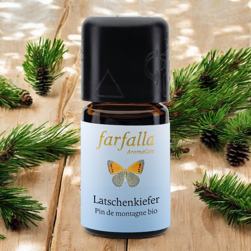 Farfalla - Huile essentielle Pin des montagnes BIO 5ml