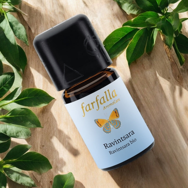 Farfalla - Huile essentielle Ravintsara BIO 5ml