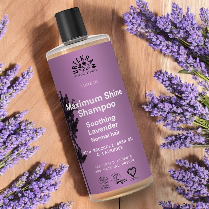 Shampooing brillance BIO - lavande