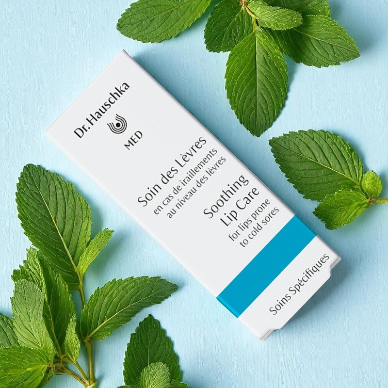 Dr. Hauschka - Soin des lèvres BIO menthe 5ml
